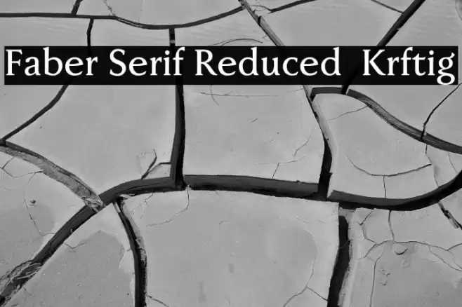 Faber Serif Reduced 65 Kräftig Font examples