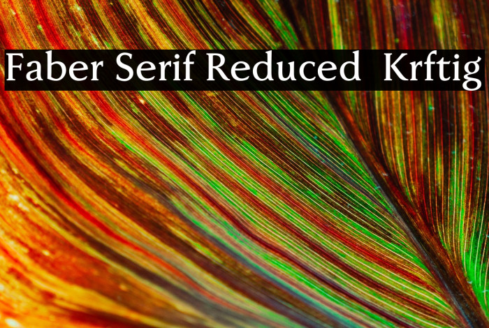 Faber Serif Reduced 65 Kräftig Example 3
