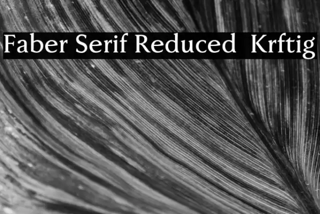 Faber Serif Reduced 65 Kräftig Font examples