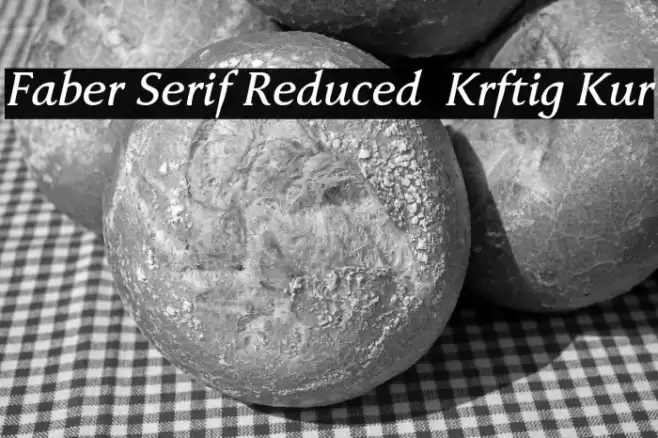 Faber Serif Reduced 66 Kräftig Kur Font examples