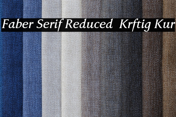 Faber Serif Reduced 66 Kräftig Kur Example 2