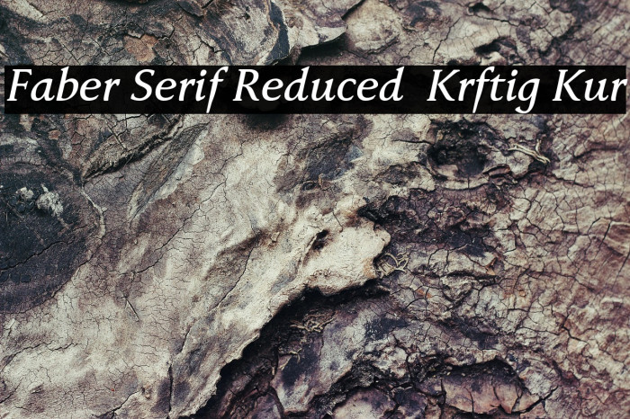 Faber Serif Reduced 66 Kräftig Kur Example 3