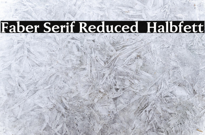 Faber Serif Reduced 75 Halbfett Example 1
