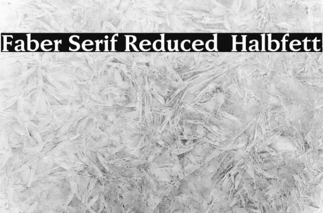 Faber Serif Reduced 75 Halbfett Font examples