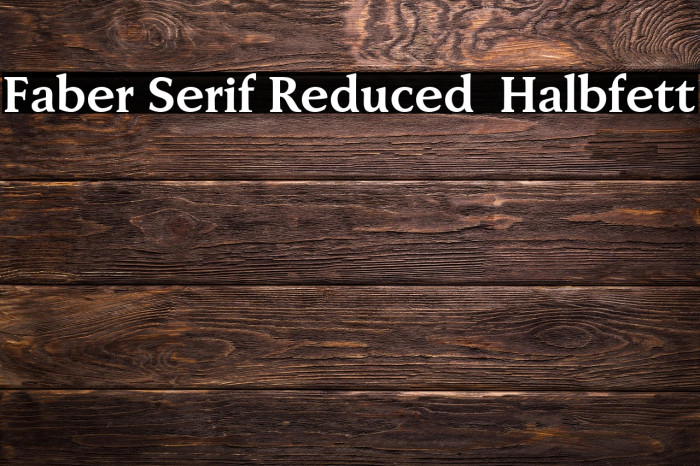 Faber Serif Reduced 75 Halbfett Example 3
