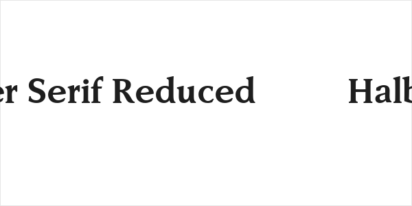Faber Serif Reduced 75 Halbfett Logo