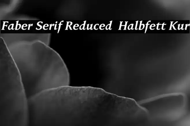 Faber Serif Reduced 76 Halbfett Kur Font examples