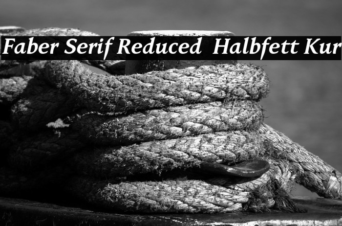 Faber Serif Reduced 76 Halbfett Kur Example 3