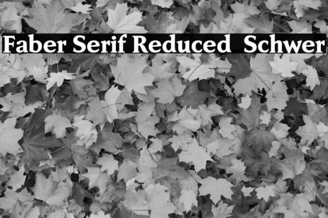 Faber Serif Reduced 85 Schwer Font examples