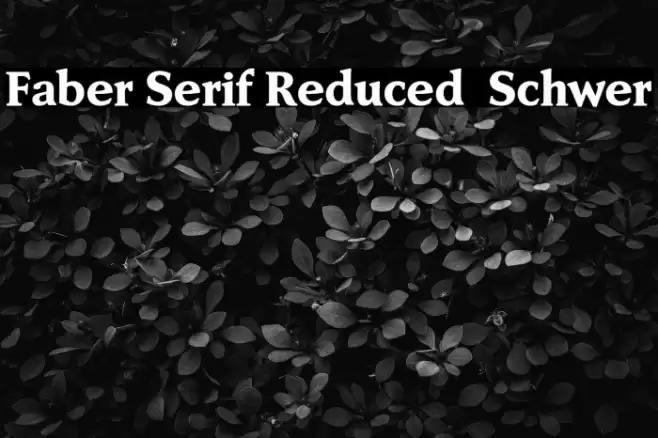 Faber Serif Reduced 85 Schwer Font examples