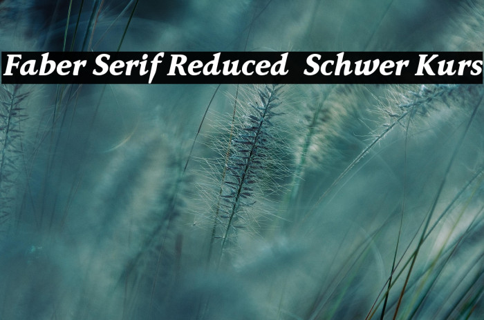 Faber Serif Reduced 86 Schwer Kurs Example 1
