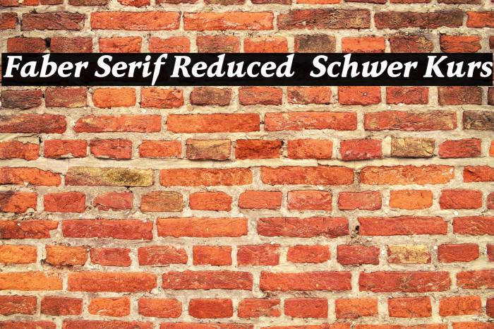 Faber Serif Reduced 86 Schwer Kurs Example 2