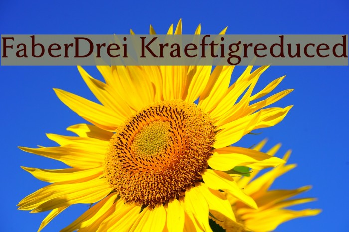 FaberDrei-Kraeftigreduced Font examples