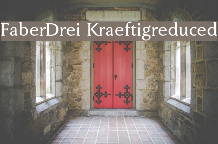 FaberDrei-Kraeftigreduced Font examples