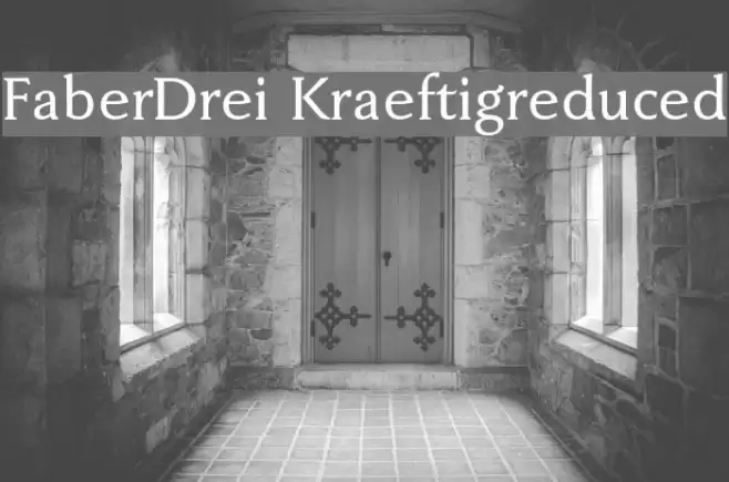 FaberDrei-Kraeftigreduced フォント examples