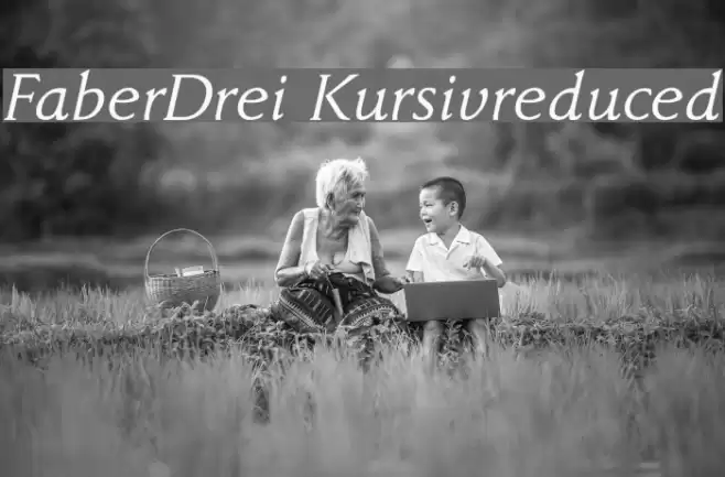 FaberDrei-Kursivreduced Шрифта examples