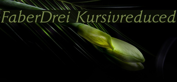 FaberDrei-Kursivreduced Font examples