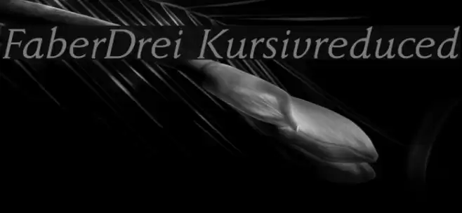 FaberDrei-Kursivreduced Шрифта examples