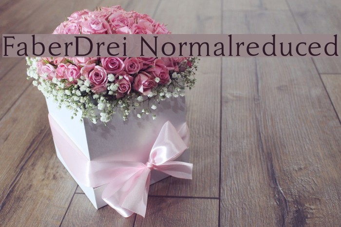 FaberDrei-Normalreduced Font examples