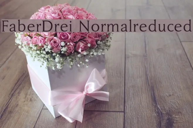 FaberDrei-Normalreduced Example 2