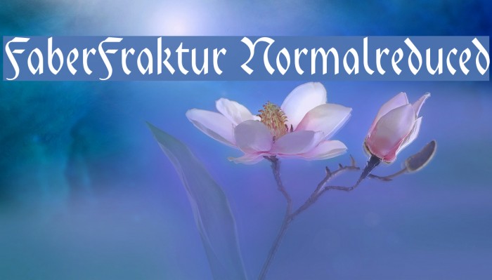 FaberFraktur-Normalreduced Font examples