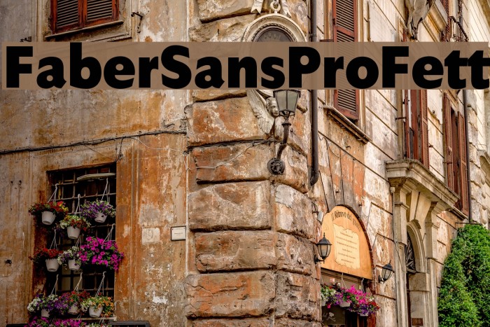 FaberSansPro-Fett Font examples