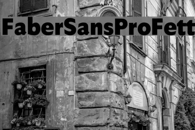 FaberSansPro-Fett Polices examples