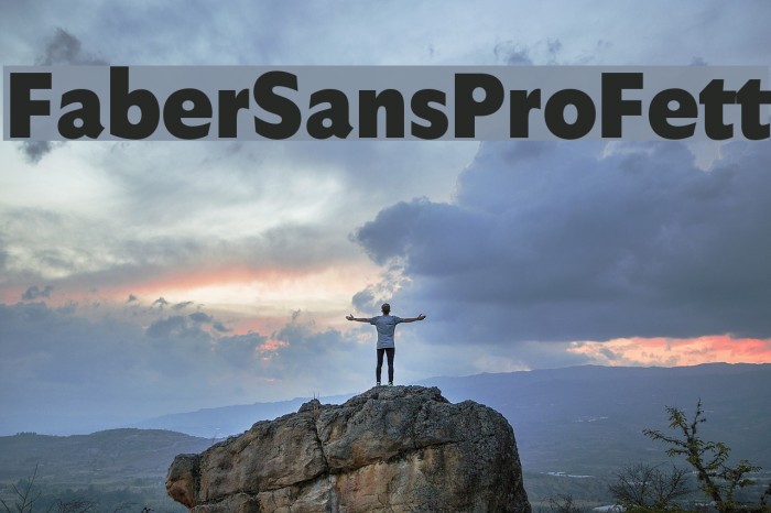 FaberSansPro-Fett Font examples