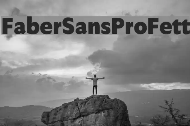 FaberSansPro-Fett Polices examples