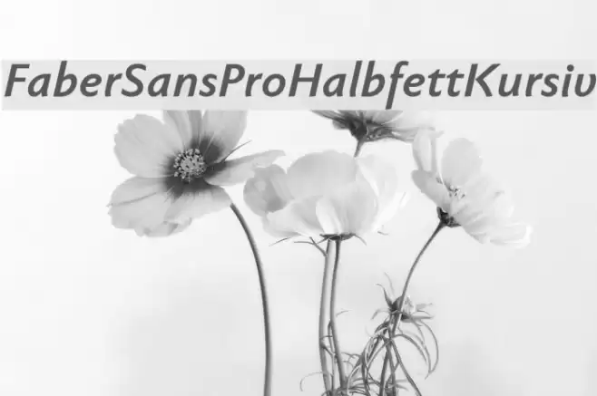 FaberSansPro-HalbfettKursiv Font examples