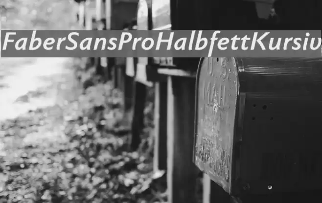 FaberSansPro-HalbfettKursiv Font examples