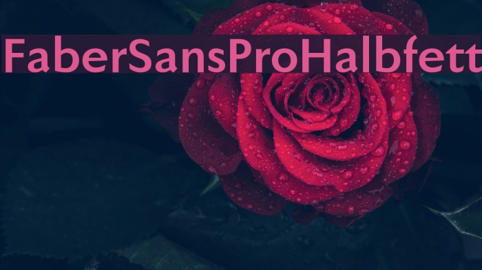FaberSansPro-Halbfett Font examples