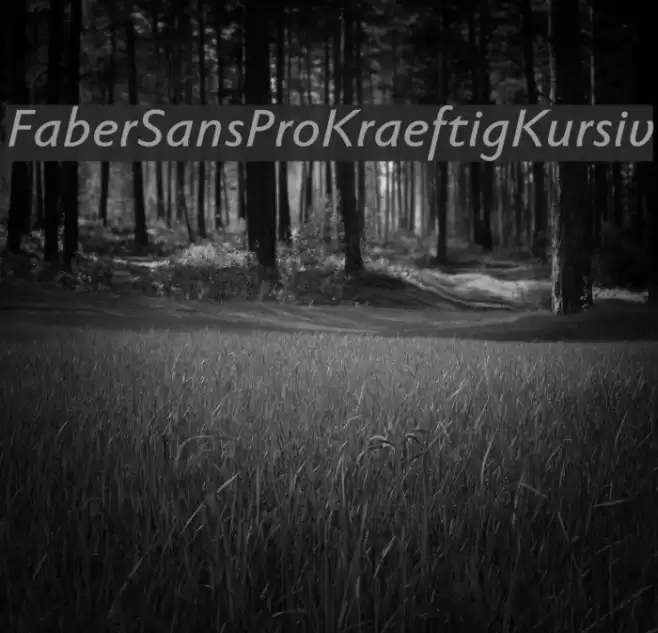FaberSansPro-KraeftigKursiv Font examples