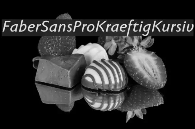 FaberSansPro-KraeftigKursiv Font examples