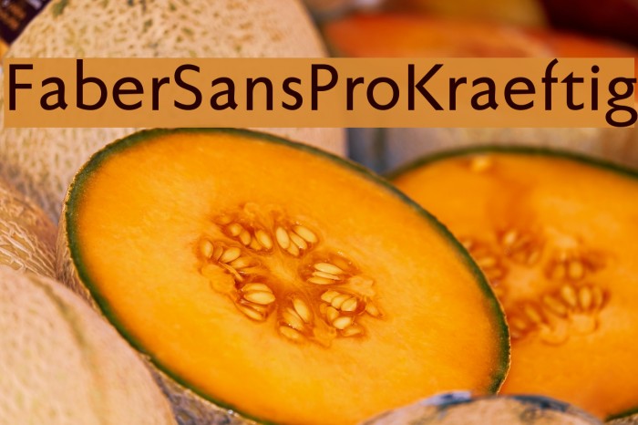 FaberSansPro-Kraeftig Font examples