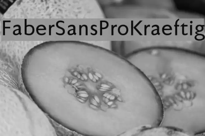 FaberSansPro-Kraeftig Font examples