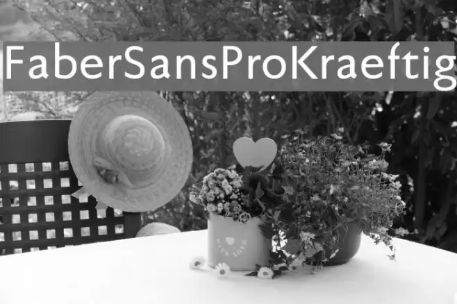 FaberSansPro-Kraeftig Font examples