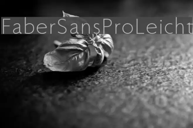 FaberSansPro-Leicht Font examples