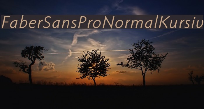 FaberSansPro-NormalKursiv フォント examples