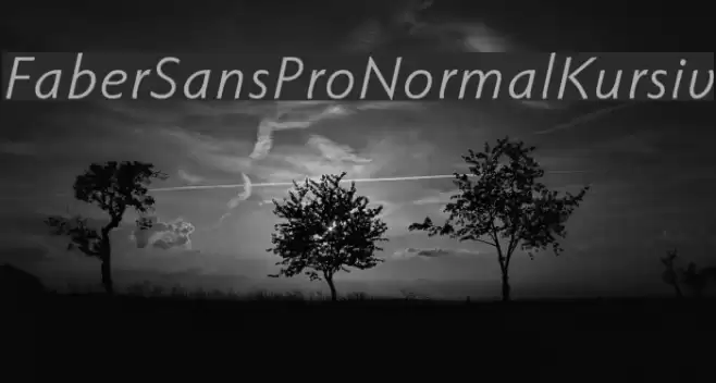 FaberSansPro-NormalKursiv フォント examples