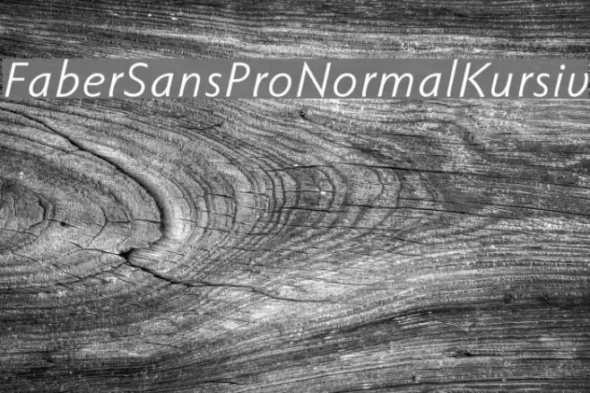 FaberSansPro-NormalKursiv フォント examples