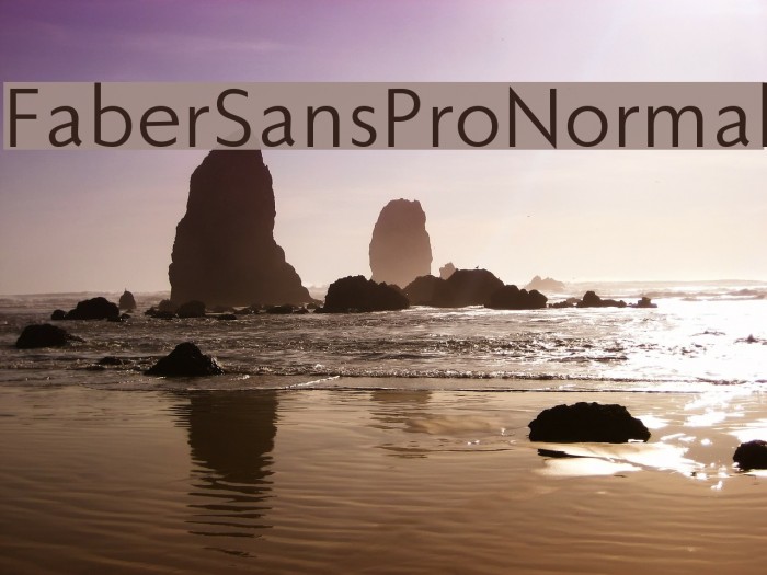 FaberSansPro-Normal Font examples