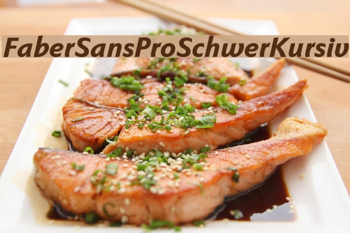 FaberSansPro-SchwerKursiv Font examples