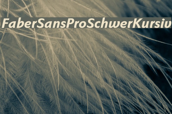 FaberSansPro-SchwerKursiv Font examples