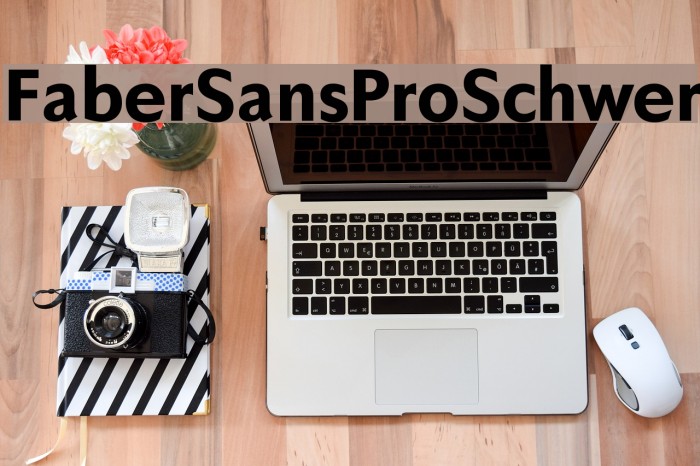 FaberSansPro-Schwer Font examples