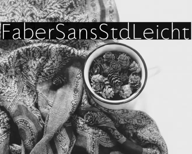 FaberSansStd-45Leicht Font examples