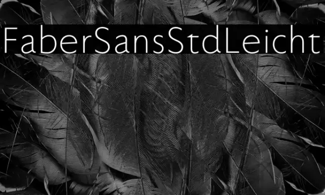 FaberSansStd-45Leicht Font examples