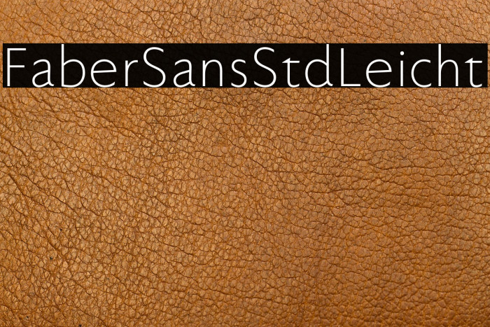 FaberSansStd-45Leicht Example 3