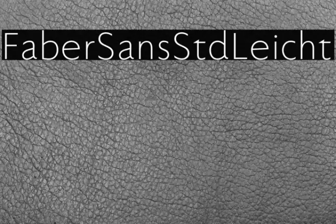FaberSansStd-45Leicht Font examples