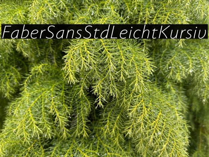 FaberSansStd-46LeichtKursiv Example 2